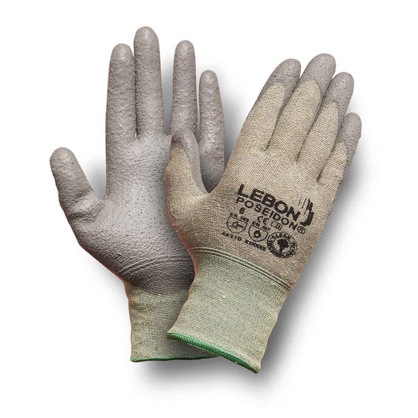 POSEIDON